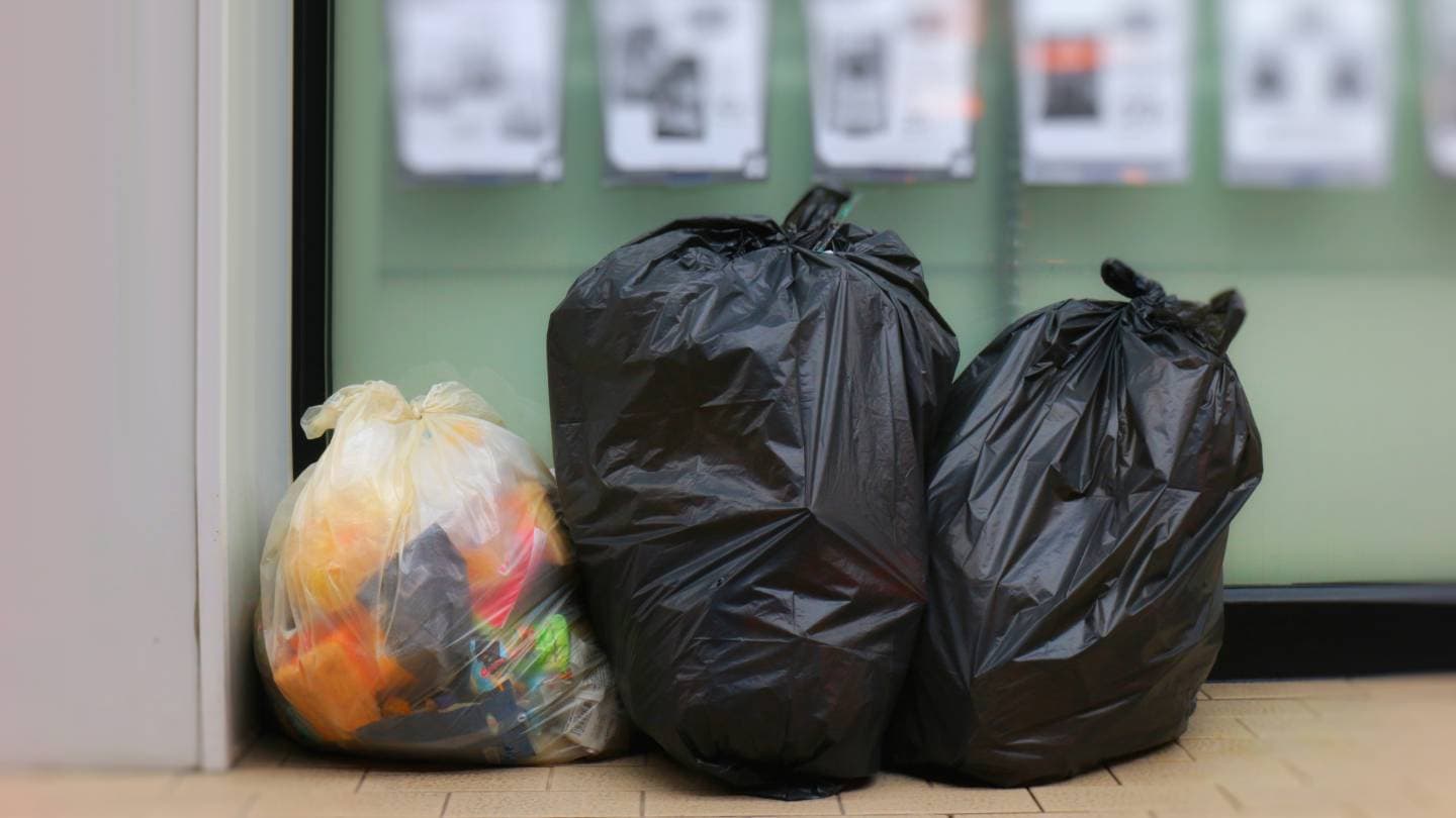 why you should remove rubbish waste 2